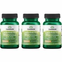 Swanson Lactobacillus Rhamnosus con FOS - Suplemento Probiótico Apoyos Salud Digestiva - 5 Billion CFU - Promueve la Salud Tract GI durante el viaje - (60 Veggie Caps) 3 Pack