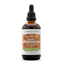 Secrets of the Tribe Mushrooms Blend Alcohol-Free, Glycerite Chaga, Shiitake, Maitake, Cordyceps, Reishi Mushroom. Tintura, Herbal Extract Immune Support Fórmula 4 OZ