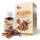 Cordyceps salvajes más – Cordyceps salvajes tibetanos &amp; 5 Cordyceps cultivados para Immune, Energía & Pulido Soporte – 60 cápsulas
