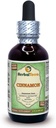 Herbal Terra LLC Canela (Cinnamomum Verum) Gliceo, Barco seco Sin alcohol Extracto líquido 2 oz