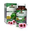 Respuesta de la naturaleza Echinacea & Goldenseal ← Suplemento dietético Silencioso Apoyo a un Sistema Inmunitario Saludable TENIDO NO GMO > Kosher Certified TEN Vegetarian/Vegan Capsules 90ct