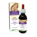 Naturalma Shiitake (Lentinula edodes) Fungus o Mushroom Alcohol-libre Tintura 4 fl oz Liquid Extract in Drops ← Herbal Suplemento TEN Vegan TENIDO Producto de Italia