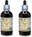 Xia Ku Cao, Prunella (Prunella Vulgaris) Tintura, Orgánica Dried Spike Powder Liquid Extract (Marca: HerbalTerra, Proudly Made in USA) 2x4 fl.oz (2x120 ml)