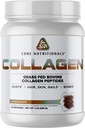 Nutriciones básicas Peptides de colágeno hidrolizado ← Tipo I > III de Grass Fed Bovine ← Pelo, Esquín, " Nails  durable Bone " Joint Support TEN 1 Pound (Chocolate)