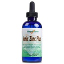 Good State Liquid Zinc Plus Ultra Concentrate Suplemento 425, 4 fl oz, 1 Conde