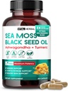 Moss de mar con aceite de semilla negra, Ashwagandha, Turmeric " Moringa – Suplemento de apoyo a la inmuna, conjunto de piel – 60 cápsulas – Vital Herbal – Lab-Tested, Non-GMO, Made in USA