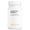 Supersmart - Lactobacillus Plantarum PostBiotic 20 Billion CFU por día (Immuno-LP20) - Heat-Treated Probiotic Supplement ← Non-GMO & Gluten Free - 60 Vegetarian Capsules