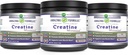 Amazing Formulas Micronized Creatine Monohydrate Suplemento TEN 5000 Mg TENIDO Non-GMO TEN Gluten Free ← Made in USA (1 Lb - 3 Pack, Unflavored)