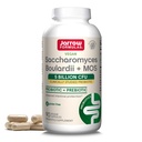 Jarrow Formulas Saccharomyces Boulardii + MOS Probiotics for Digestive Health and Intestinal Tract Support - 5 Billion CFU Por Serving - 90 Delayed Release Caps - Probiotic + Prebiotic - 90 Servings