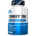 Evlution Nutrition Turquía Tail Mushroom - 500mg Organic Turkey Tail Mushroom per Capsule - Immune Support - Suplemento dietético - Vegan &amp; Non-GMO - 60 Servimientos - 60 cápsulas