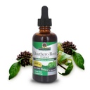 Respuesta de la naturaleza Eleuthero Root libre de alcohol, 2-Fluid Ounces ¦ Vegan  No Preservatives Gluten Free Eleuthero Extract
